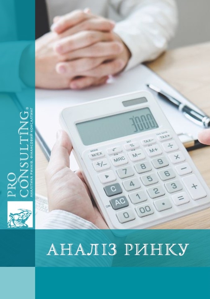 Аналіз ринку онлайн мікрокредитування в Україні. 2024 рік